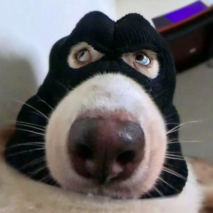 天亮了