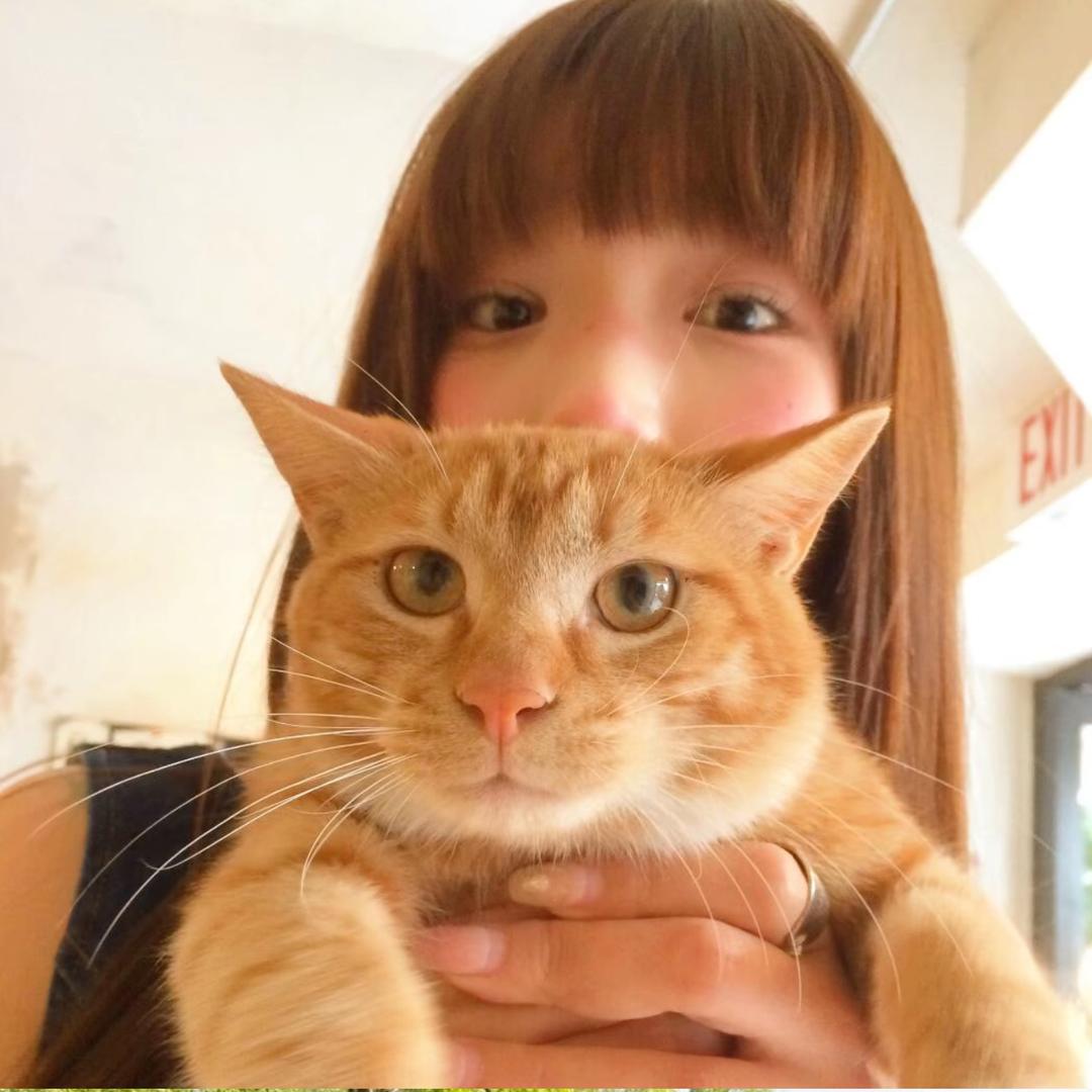 ㅤㅤㅤㅤㅤㅤㅤㅤㅤㅤㅤㅤㅤ