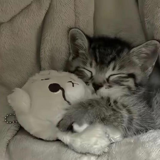 掉眼泪