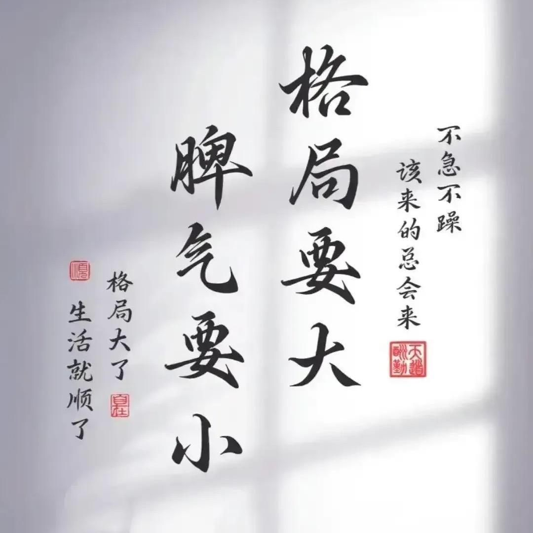 沙漠骆驼