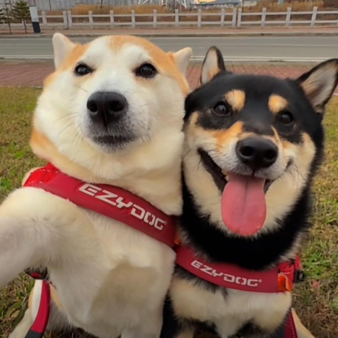 @睡个好觉⁸