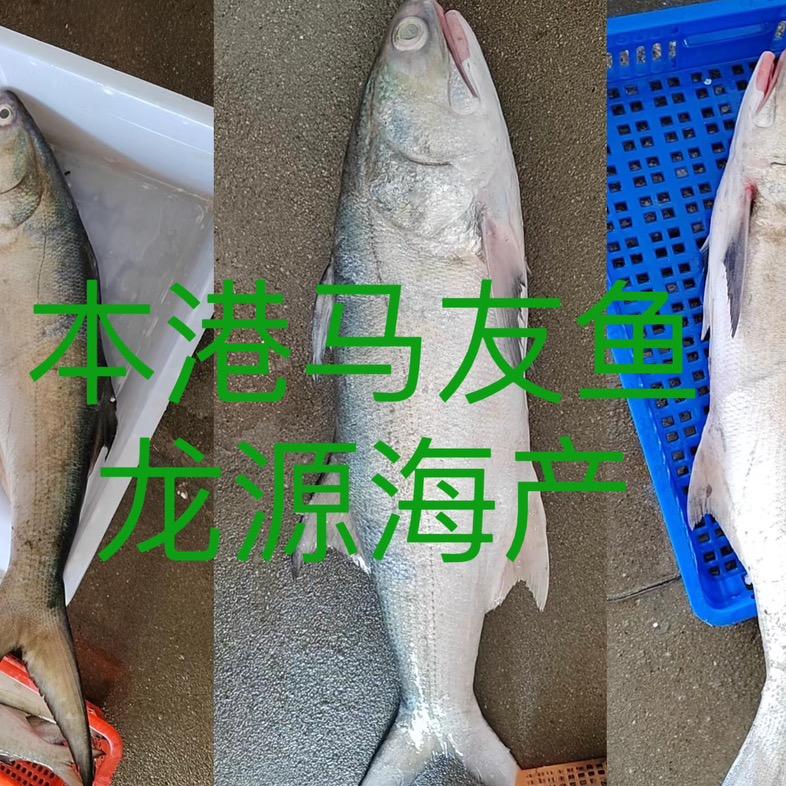 靖海龙源海产