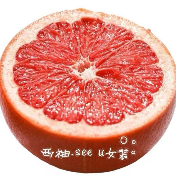 小小小西柚（大码创业版）