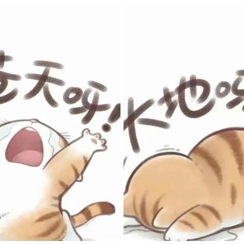 厨师记录跑步日常