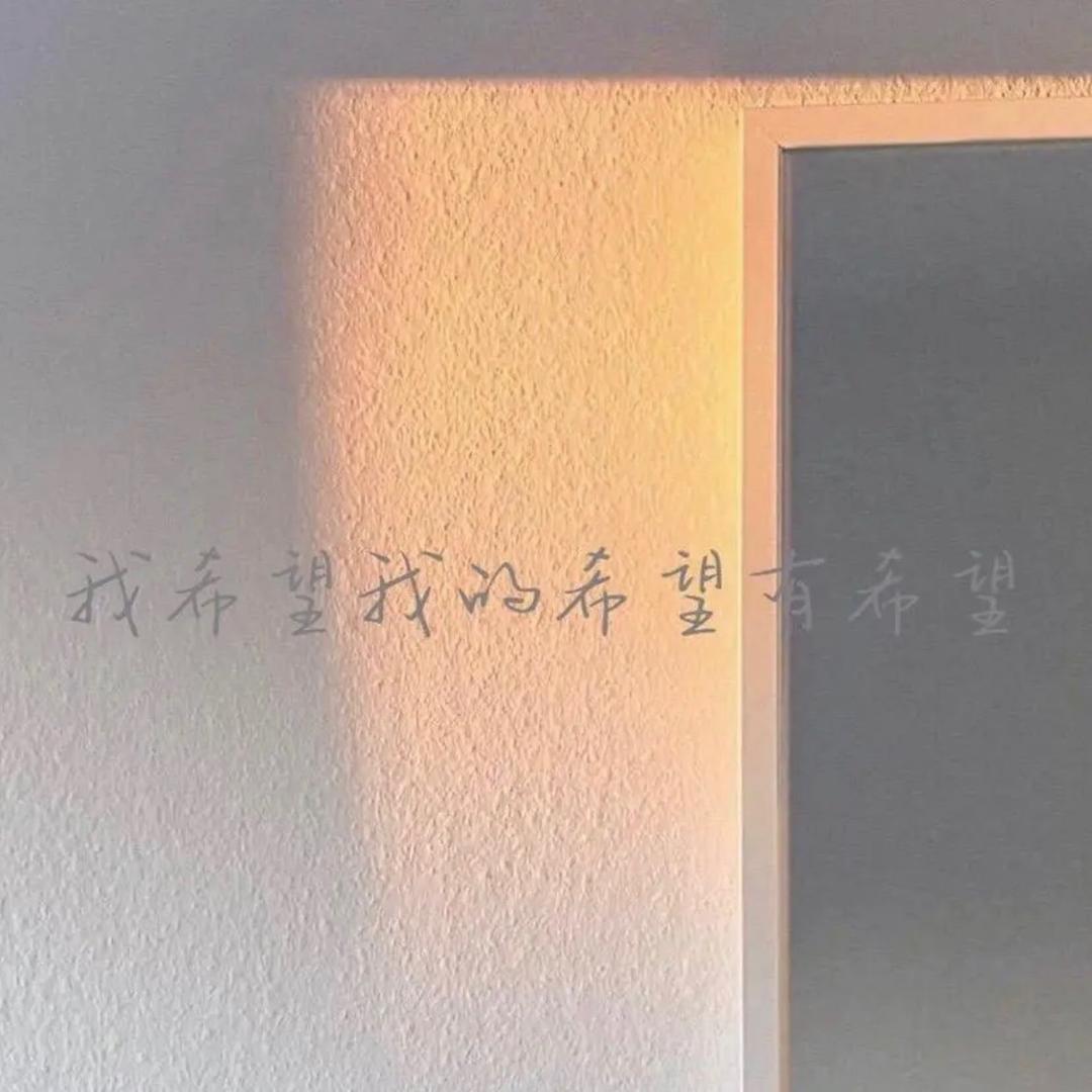 晓飞