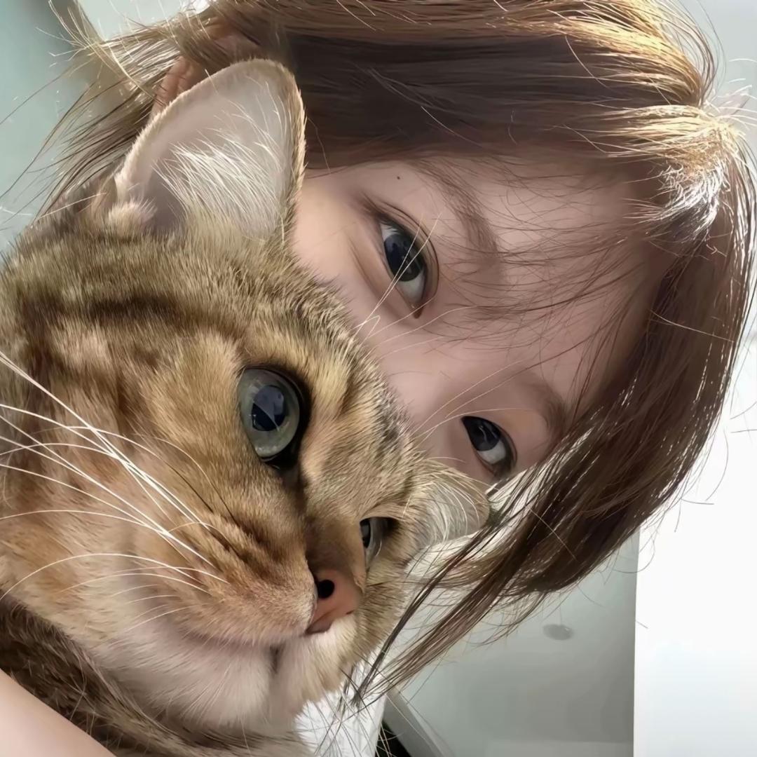 鑫 子.