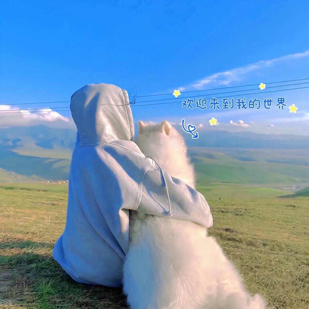 咚咚嚓❦