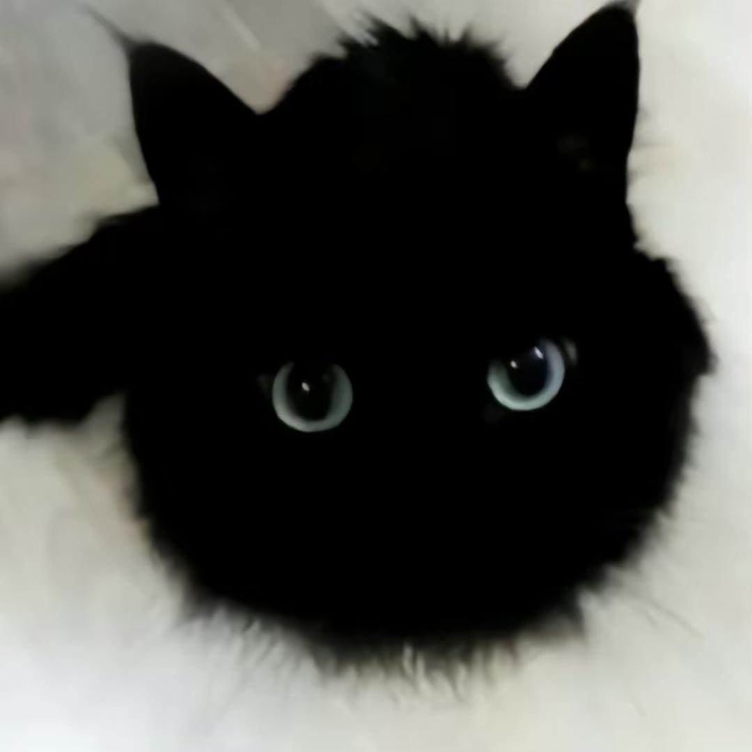 xx_