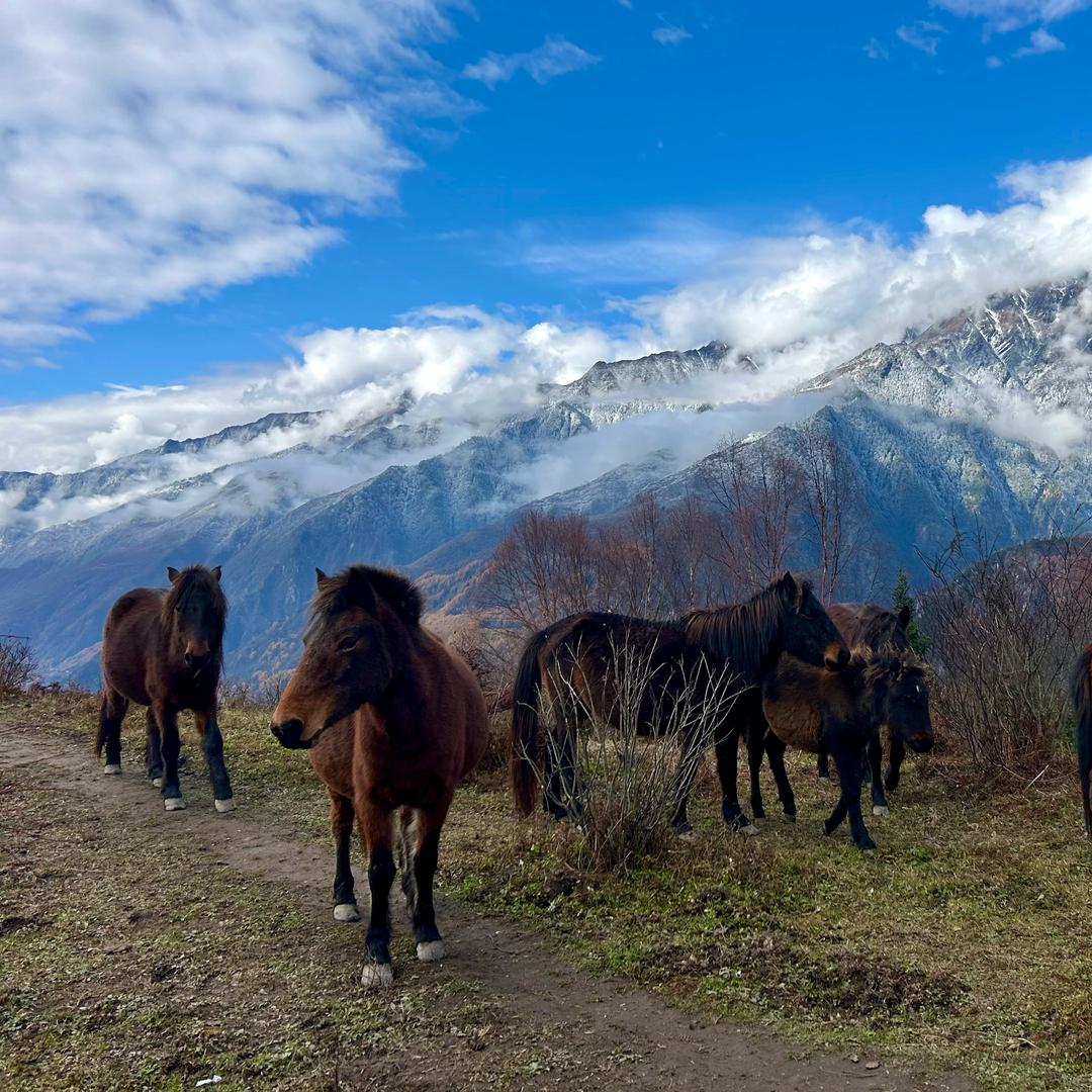 全屋定制主理人