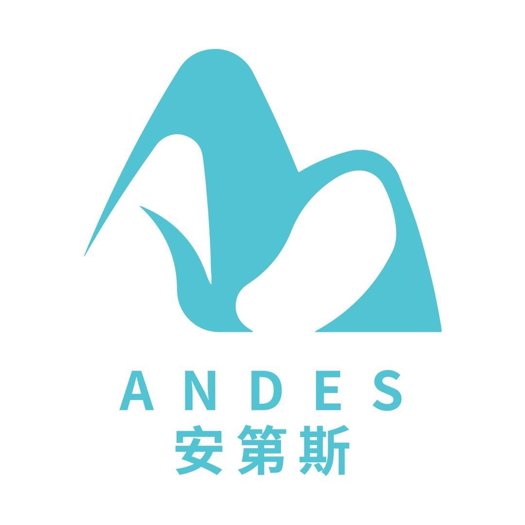 外贸人安第斯