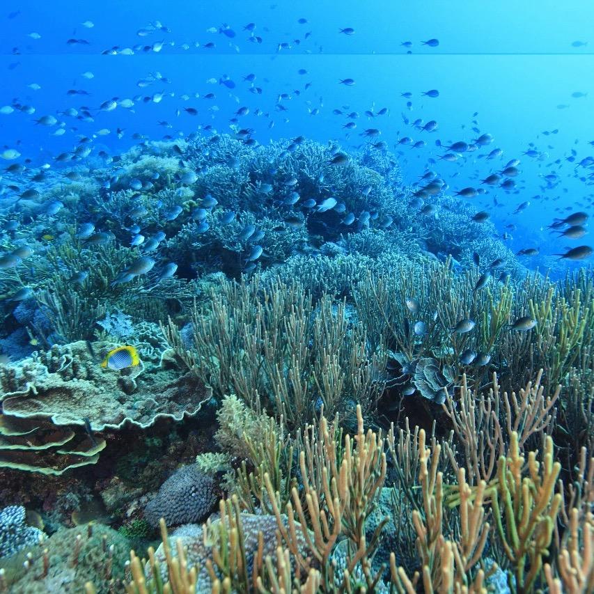 海南健家房地产经纪有限公司