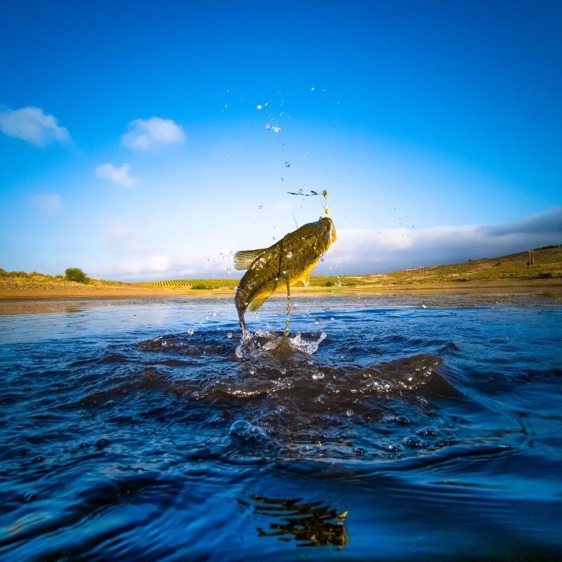 海口龙华昕骊萍渔具店