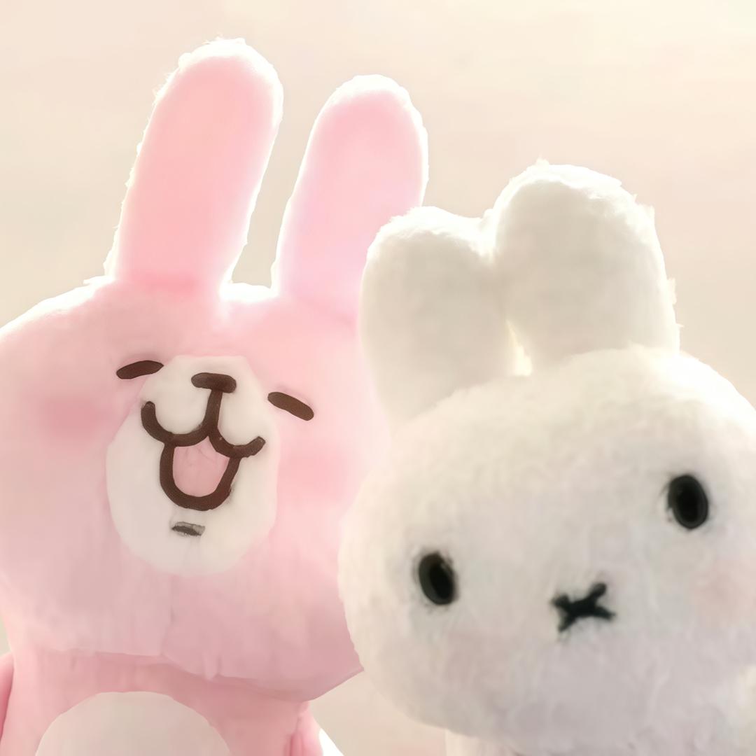 iDvDngᵛ