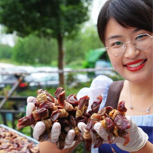 龍舒益云安徽特产