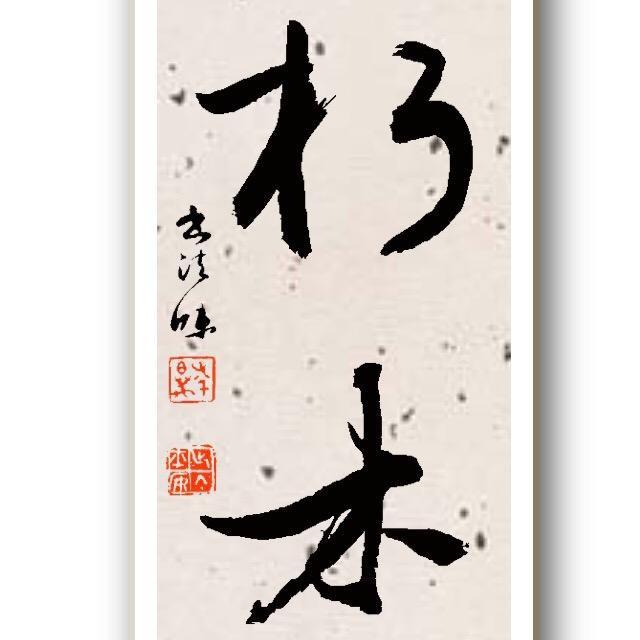 朽木根艺