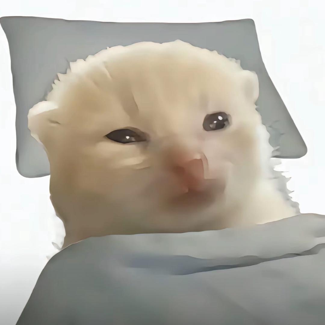 小G蛋🅥