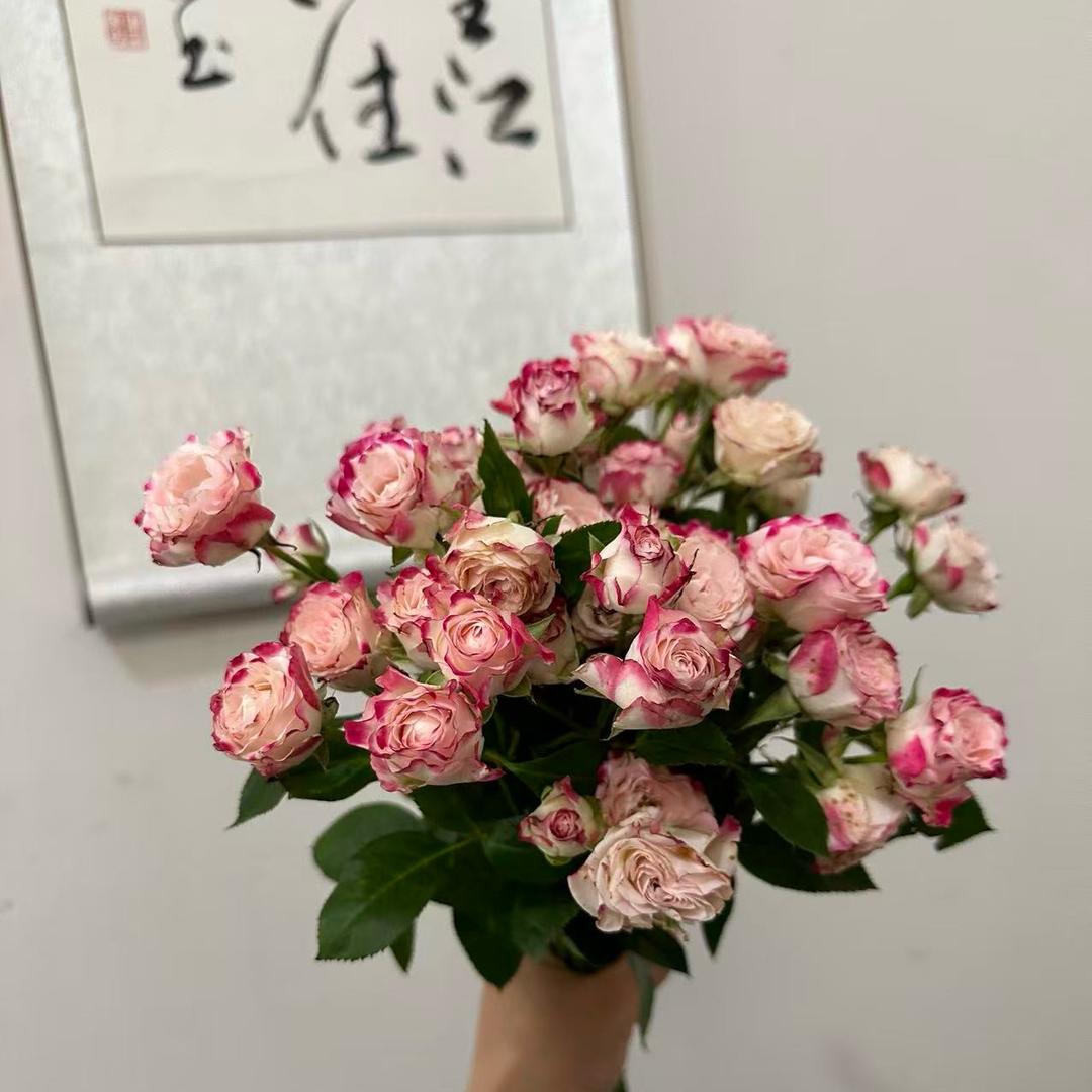 禅香