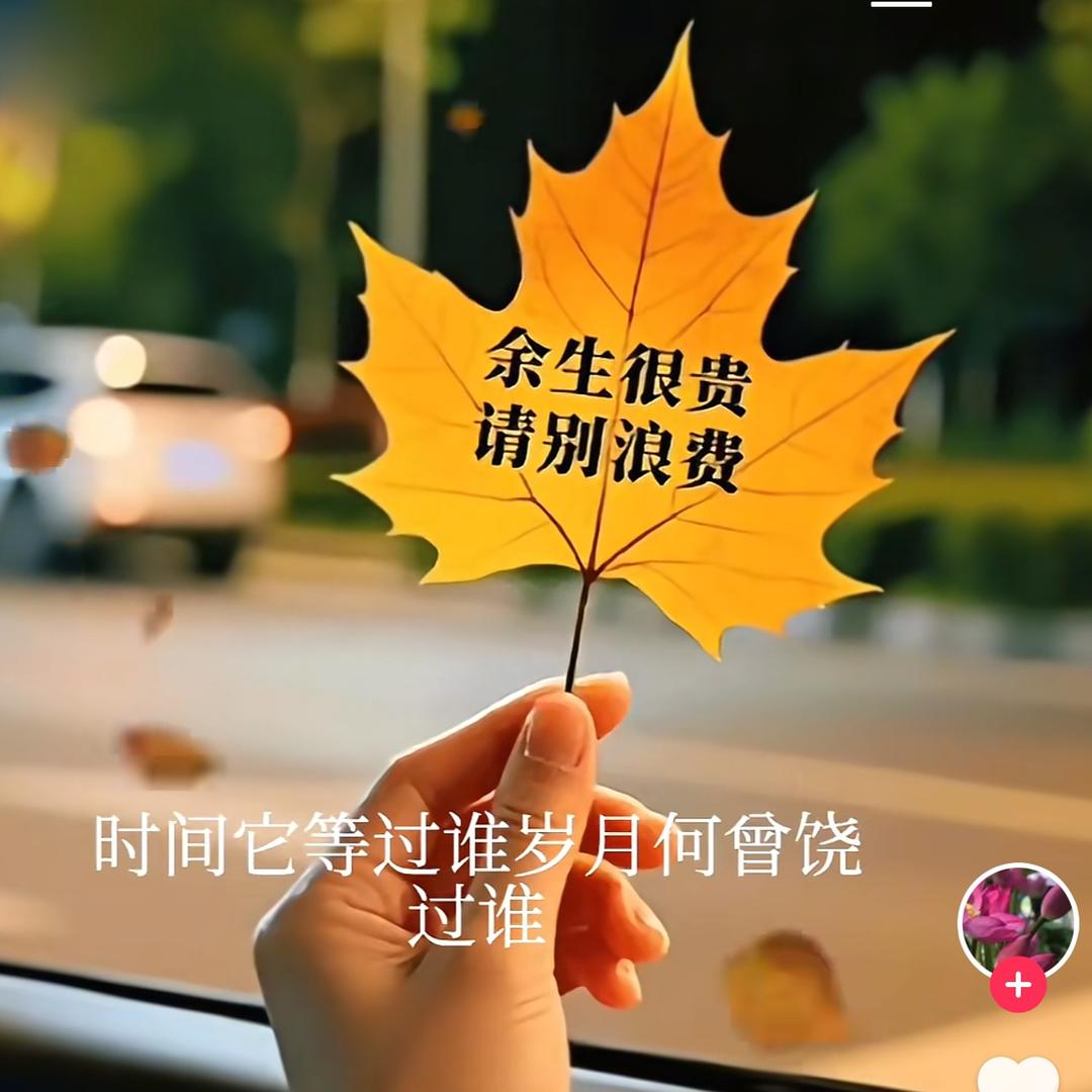 🍂💕安静的🍓