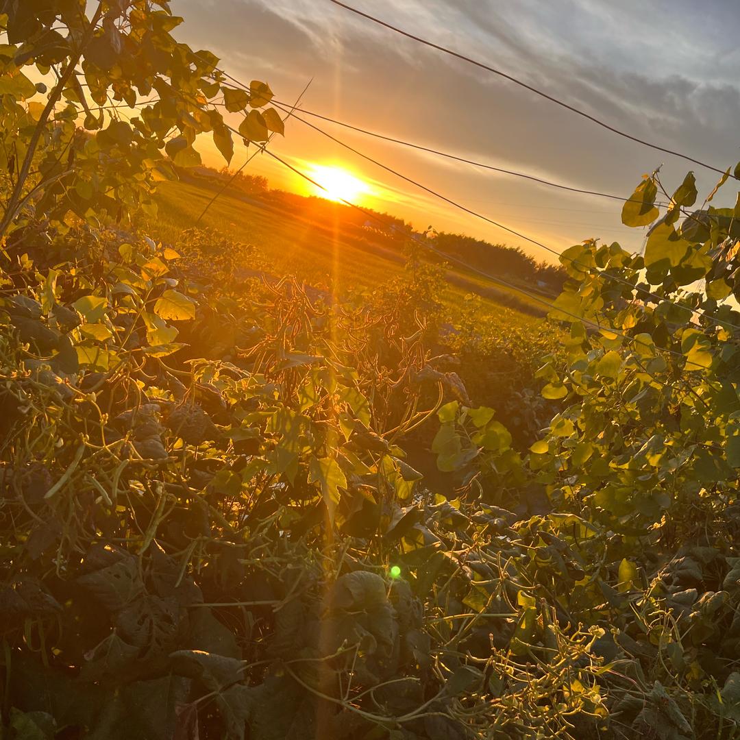 😮💨😮💨😮💨