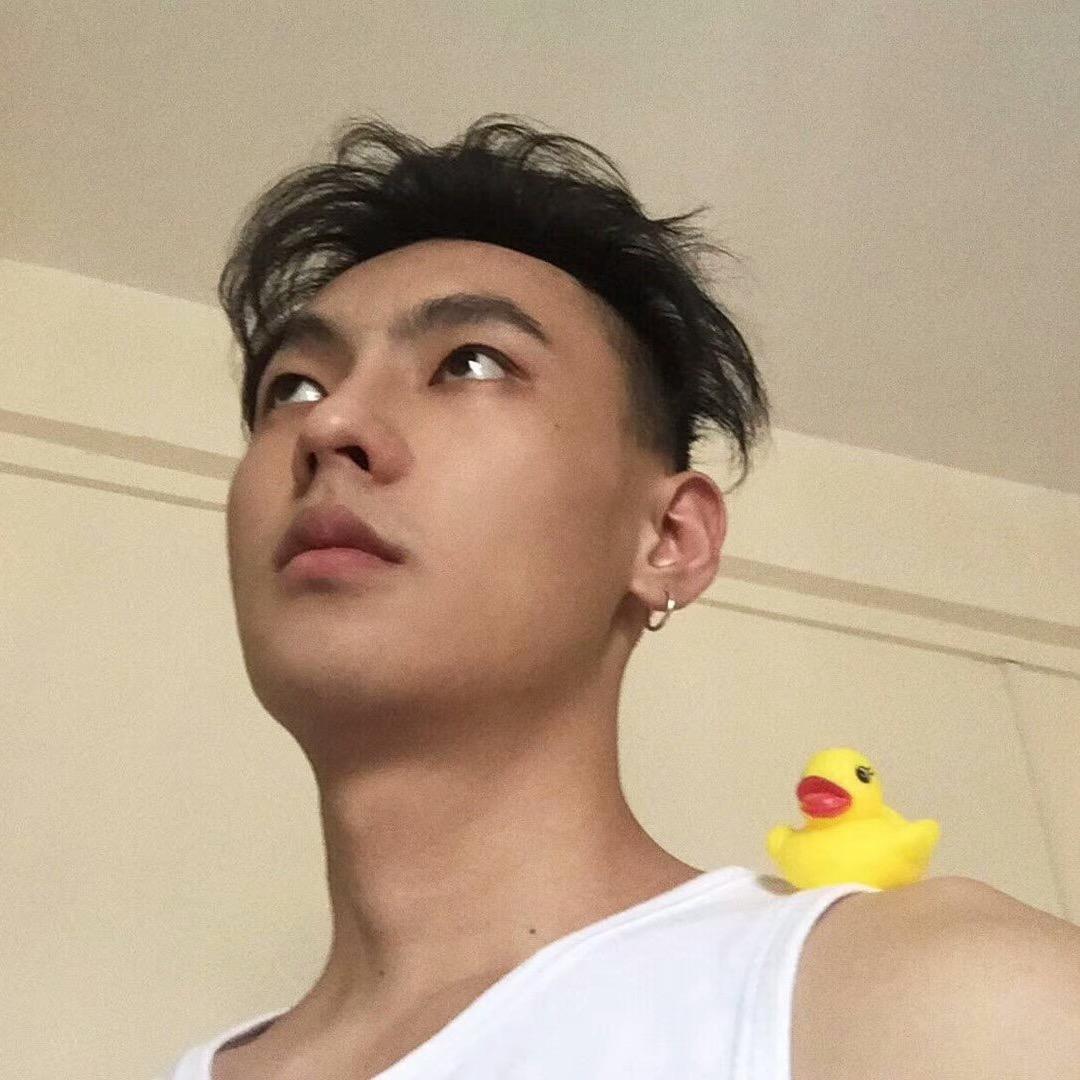 ㅤ超级大恐龙