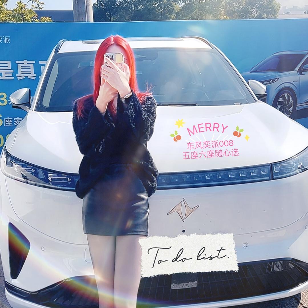 东风奕派衡阳高鲲008