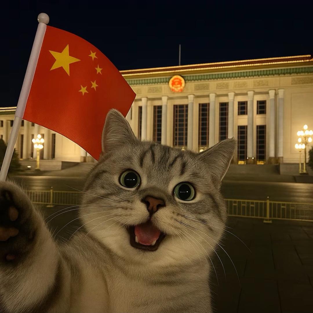 小伟😎