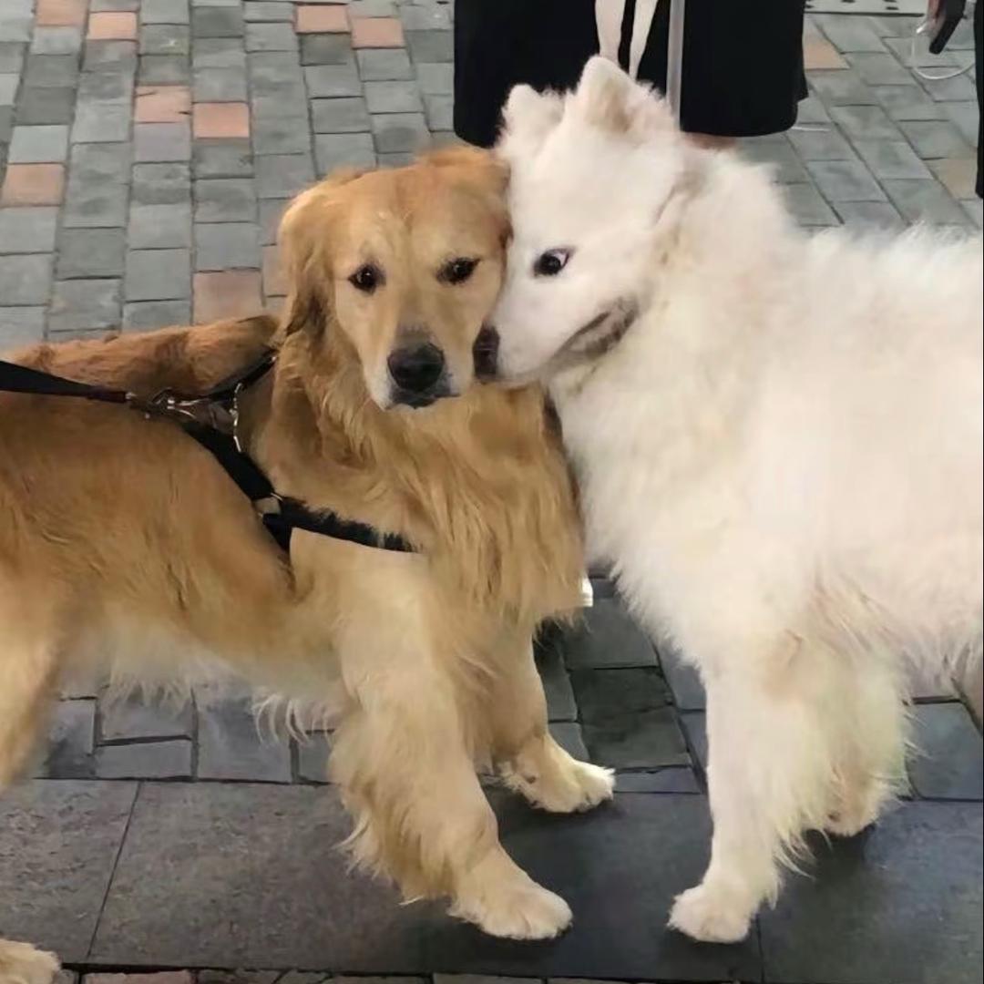 🌈机灵鬼不机灵