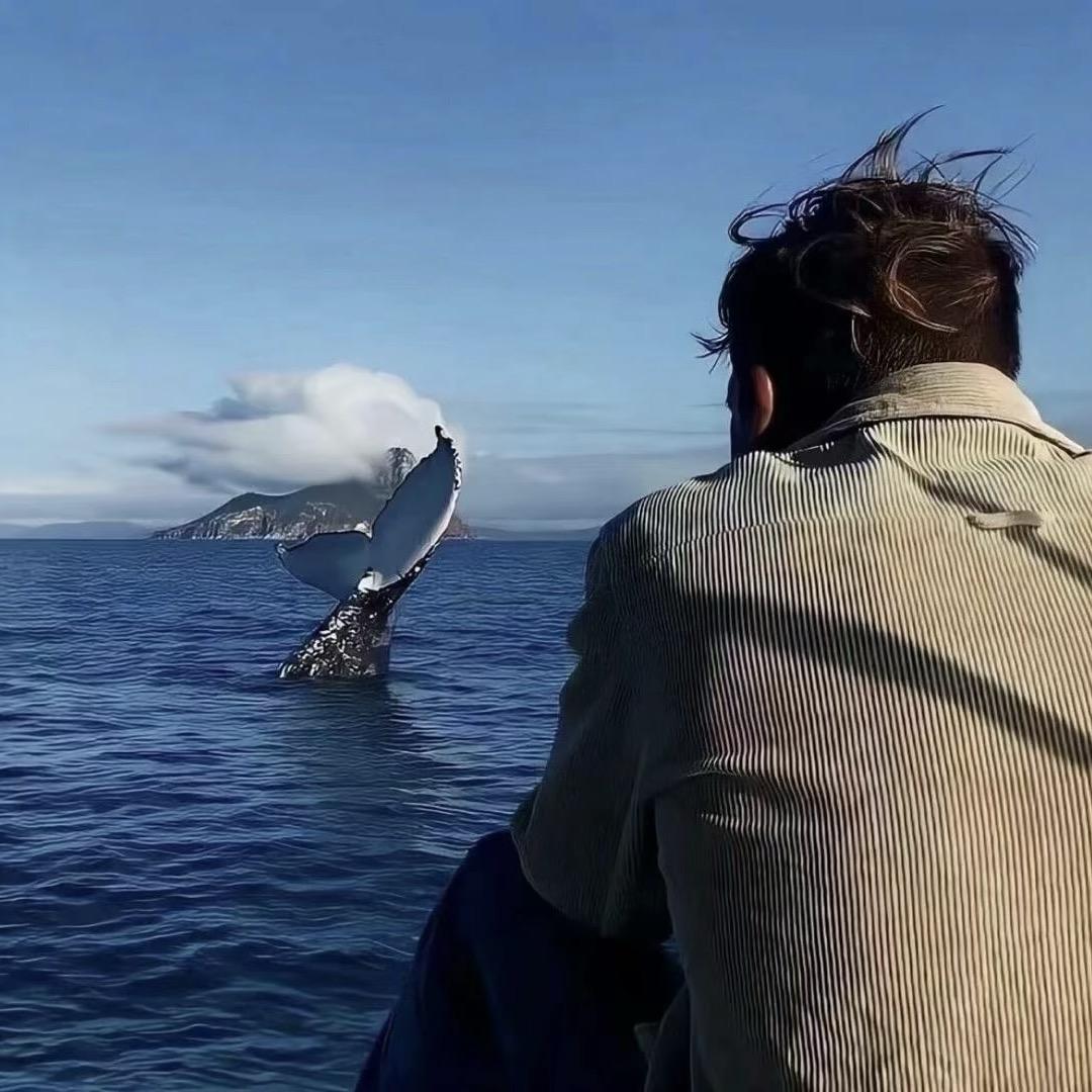 我要稳稳的幸福