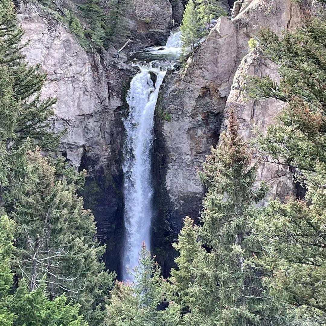 从那跌倒从那爬起来
