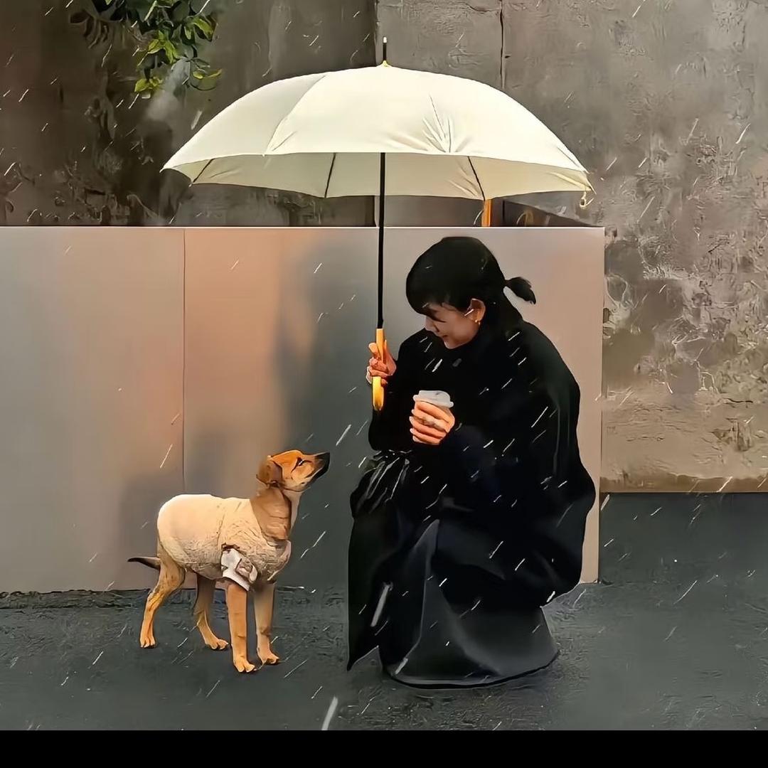 WU理取闹