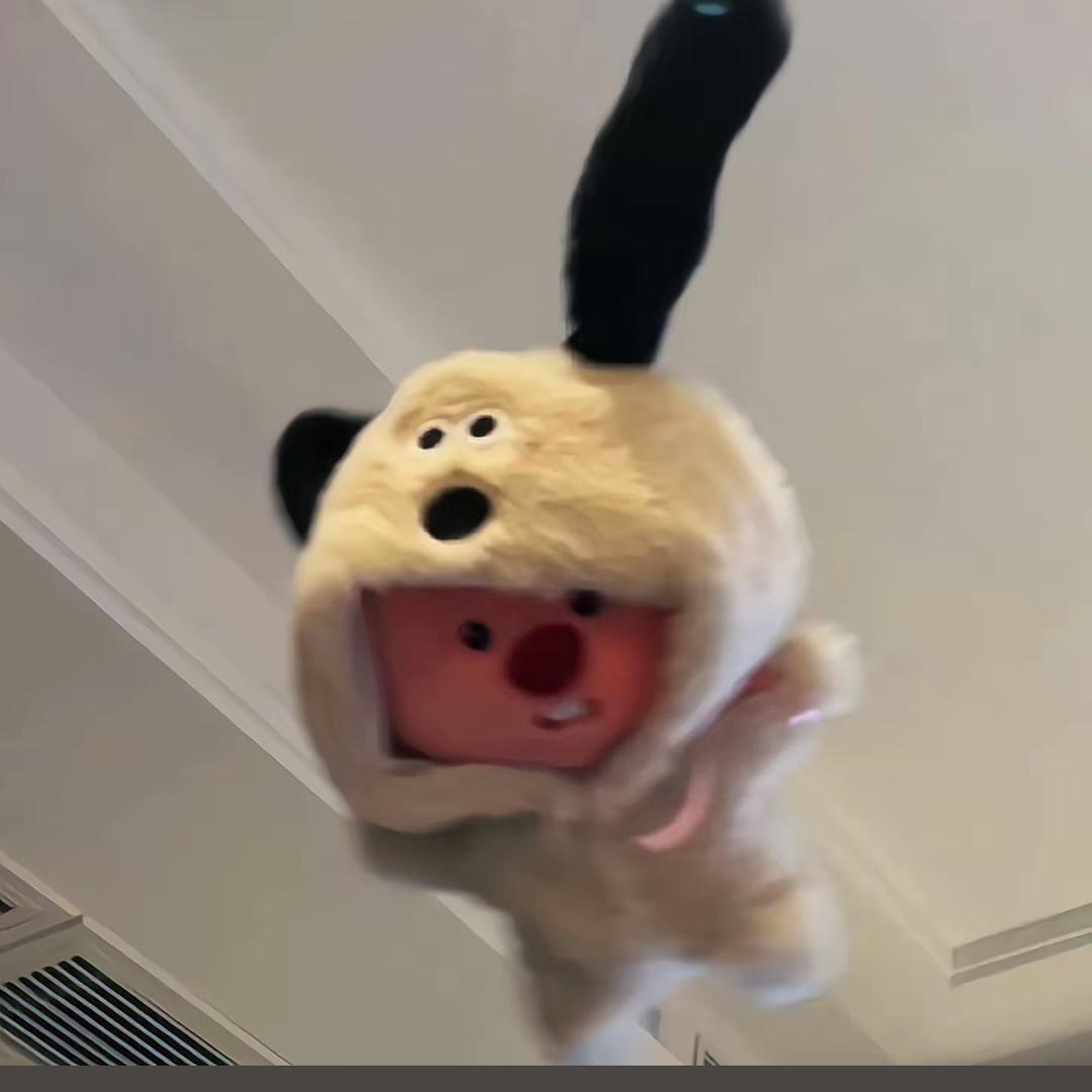 请叫我小桔