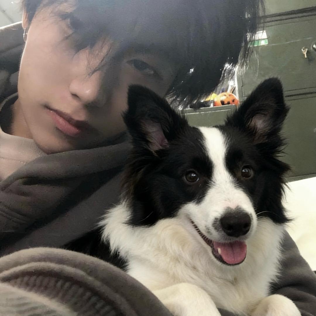 不抽香烟（打工版）