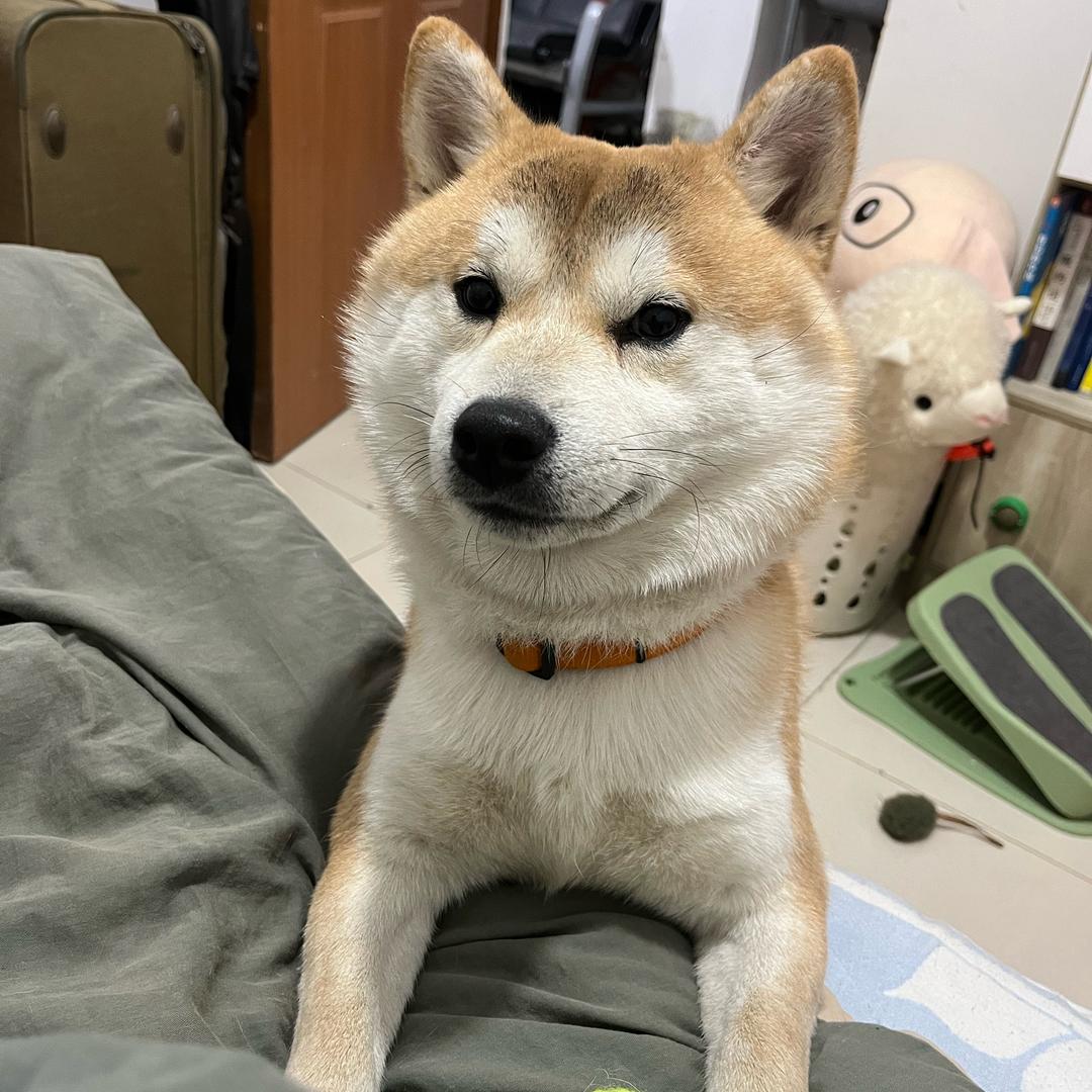 我见青山多妩媚