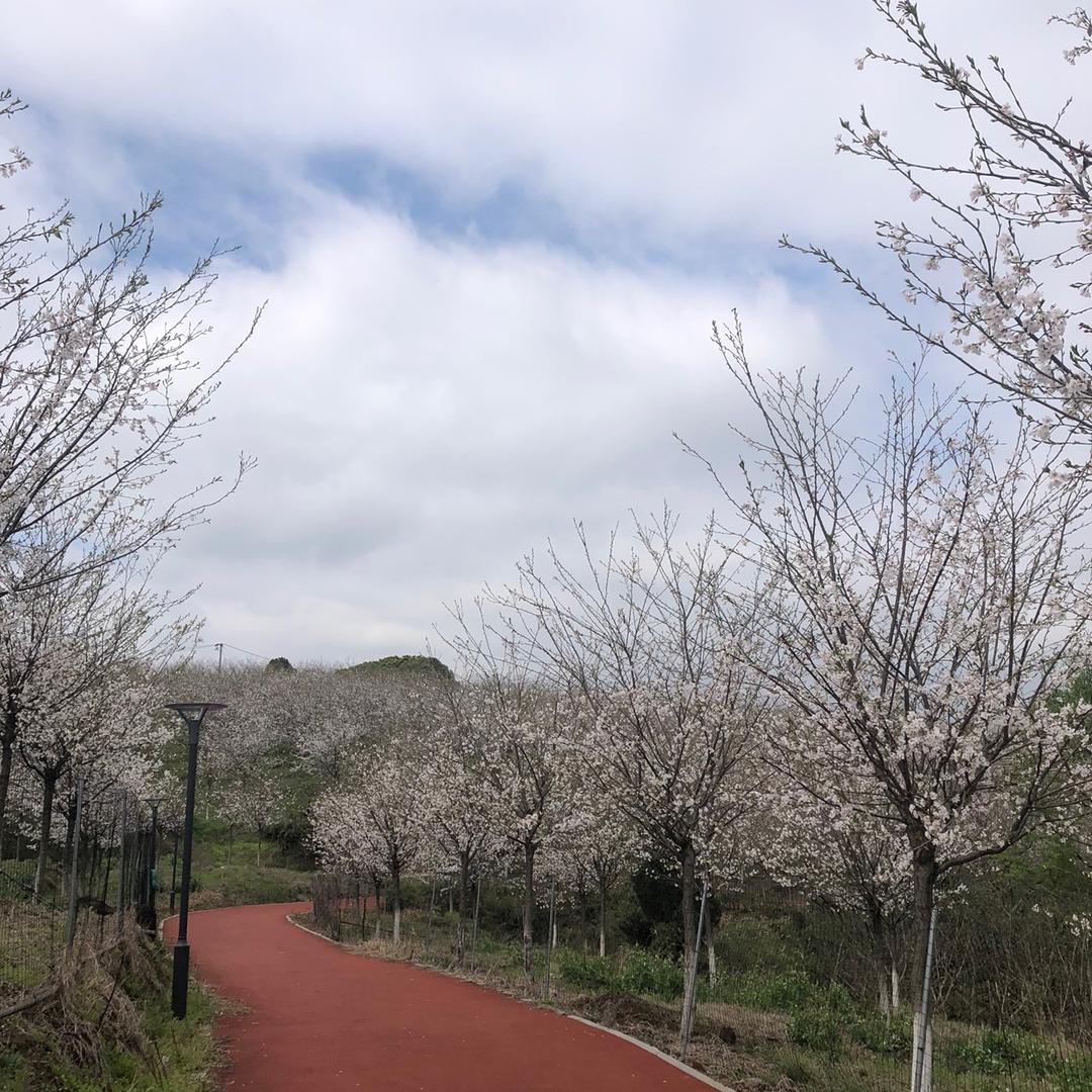 霞