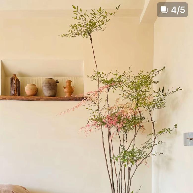 萌花似锦园艺坊