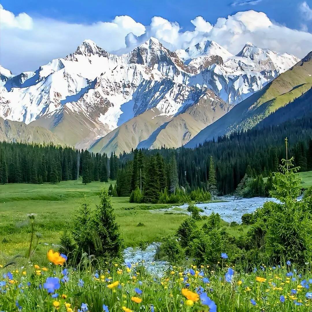 阿牛旅游