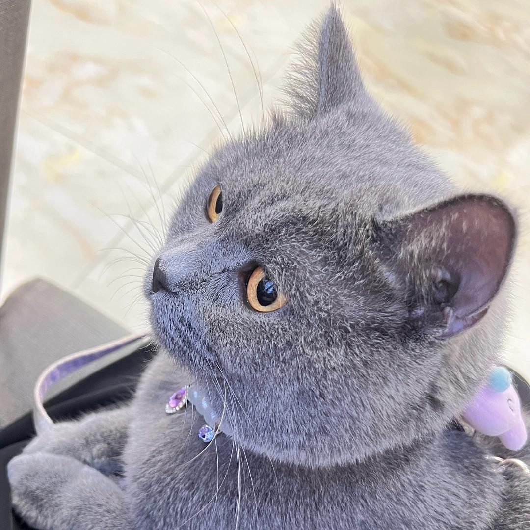 🦋এ᭄心碎ꦿ谁💔买单ོ࿐ᩚ