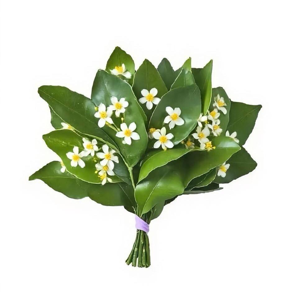 我也不知道叫啥了