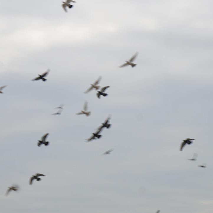 🌈 奔跑的蜗牛 ⛵️