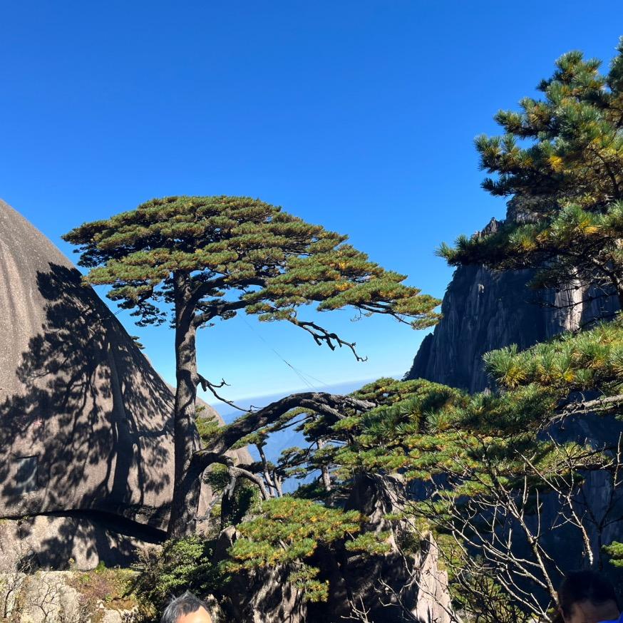 努力终会闪耀😊