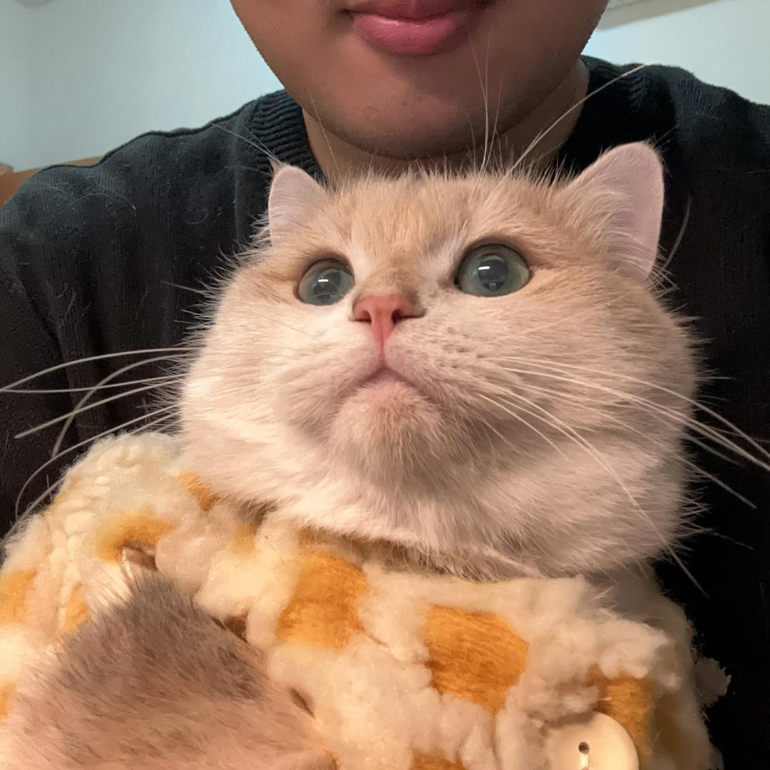 想成为你的派大星