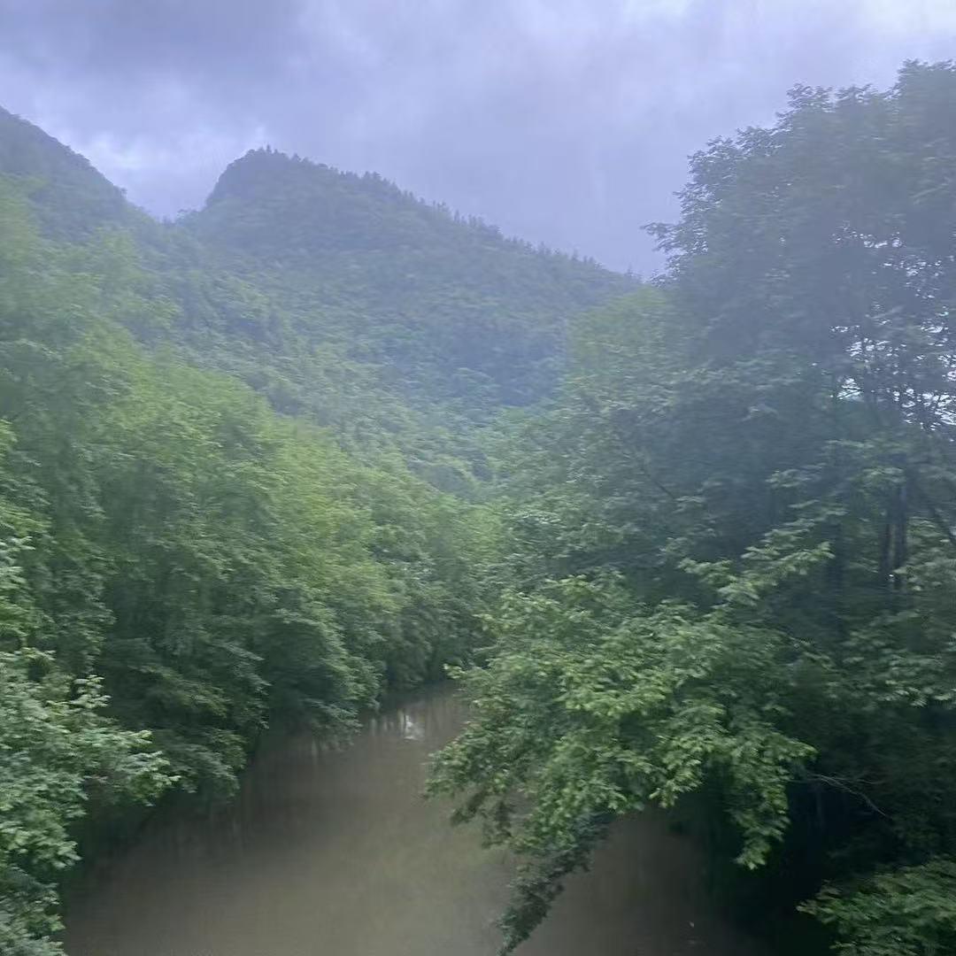 🌺🌷💐🪷🌻🌜🌸🎋