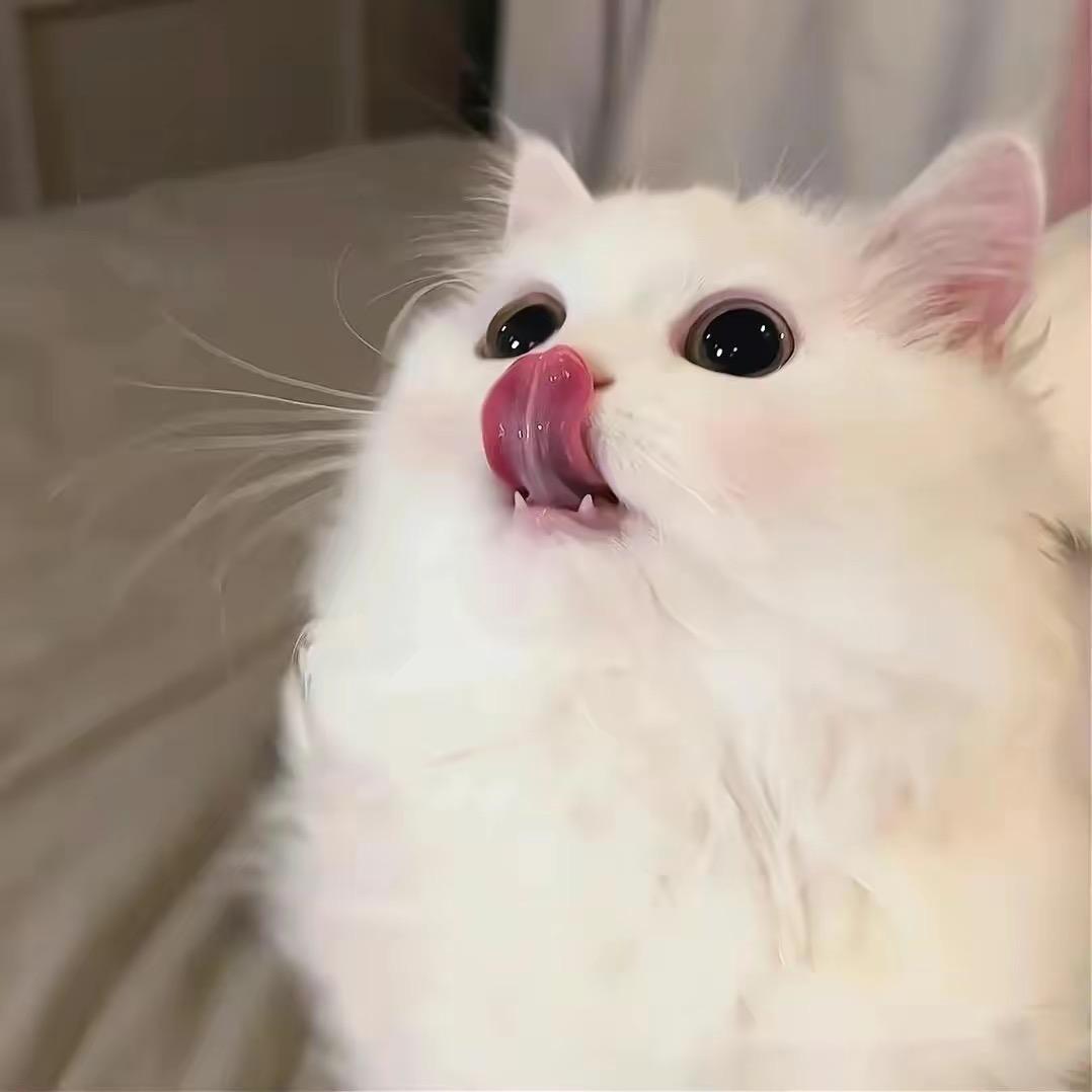噼里啪啦啦