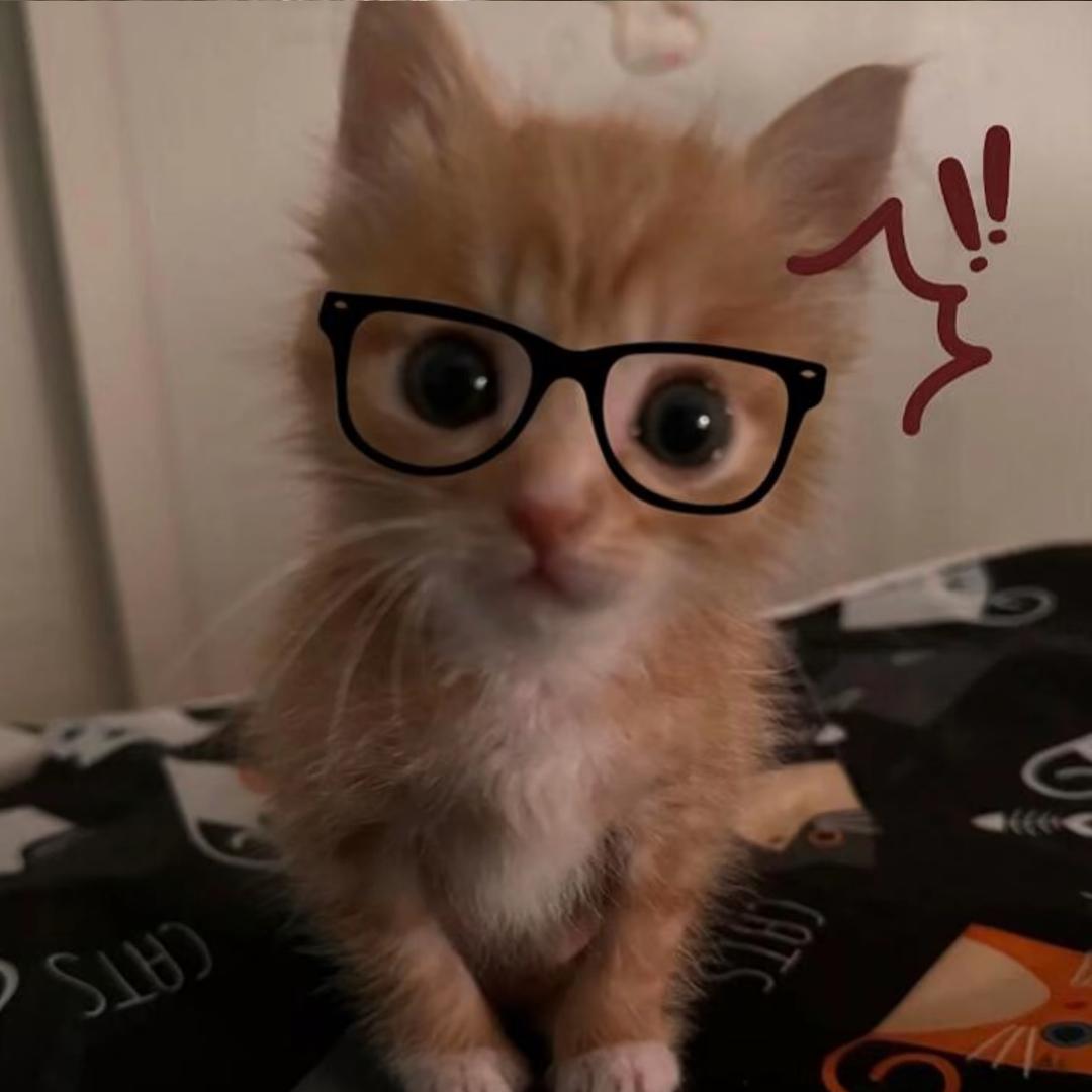 helloooo
