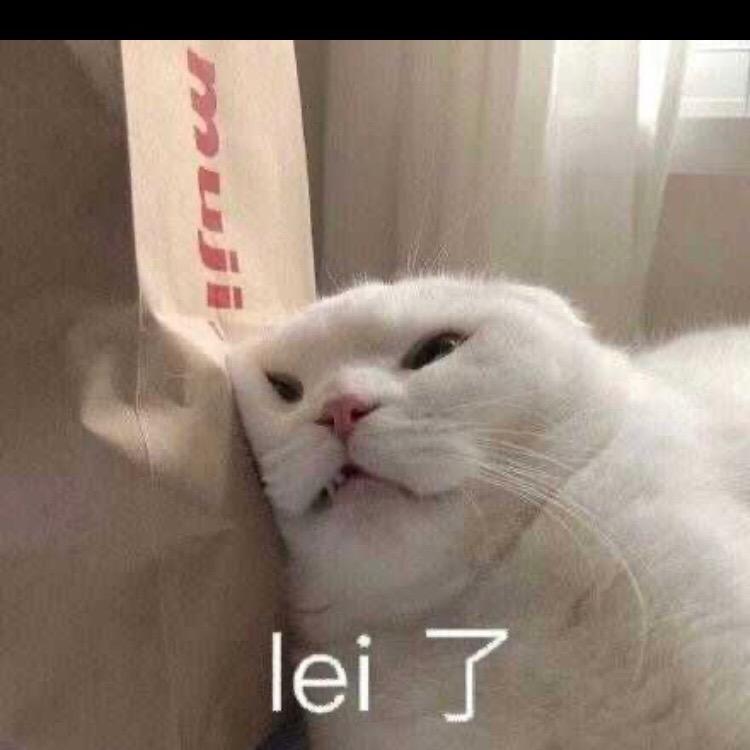 爱哭的小猫咪