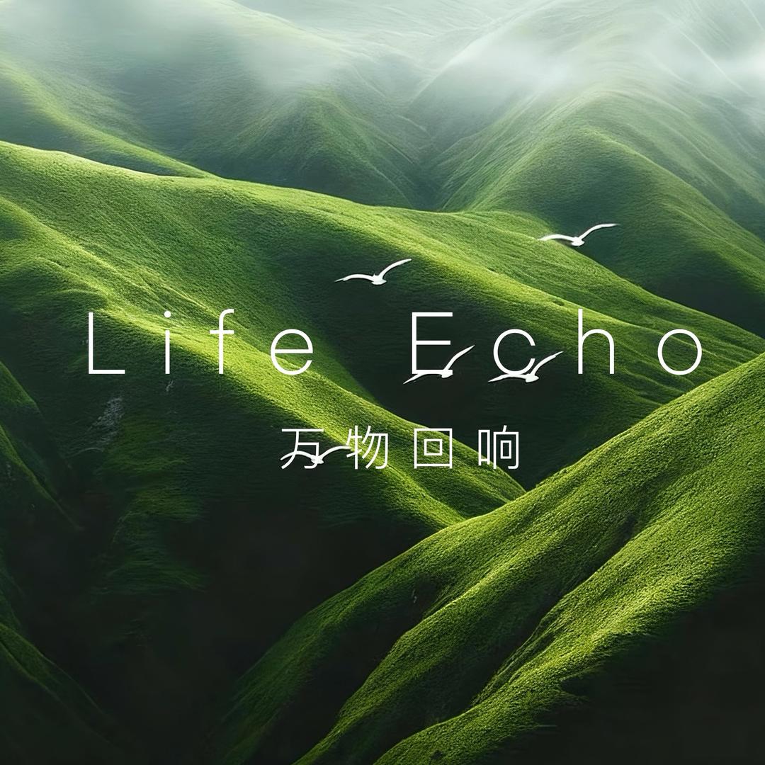 万物回响
