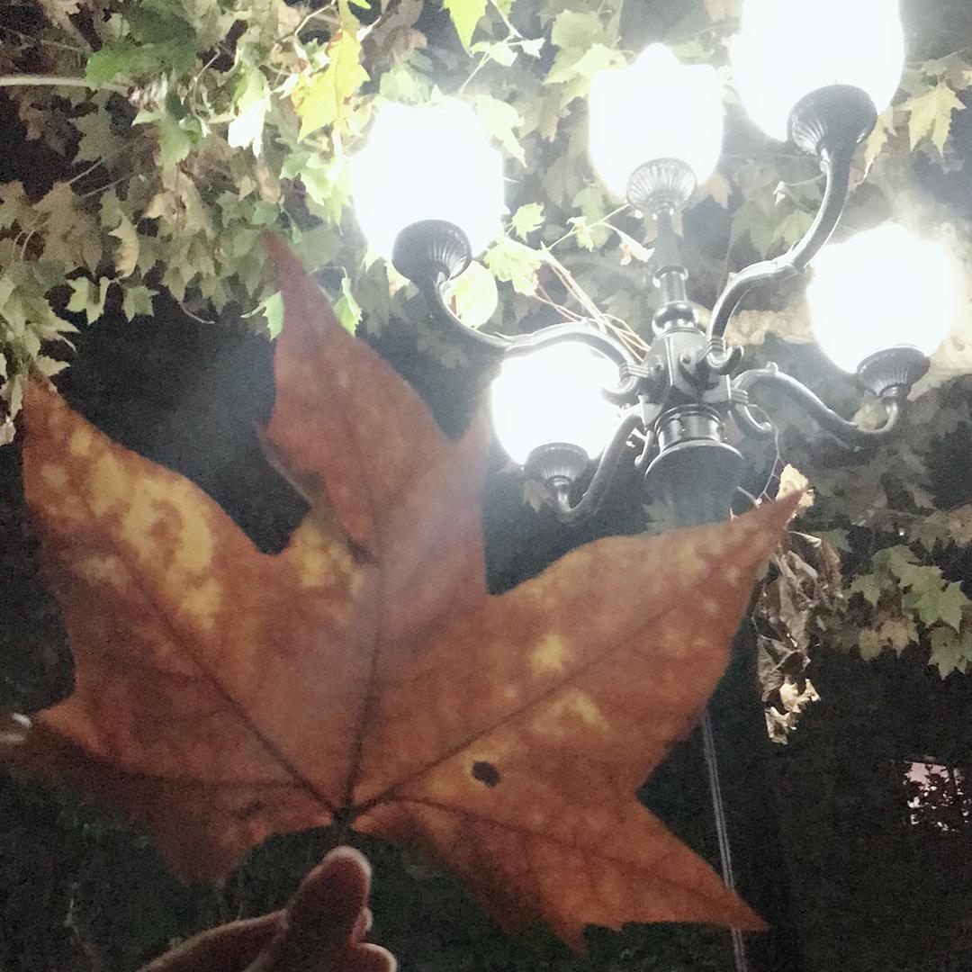思思