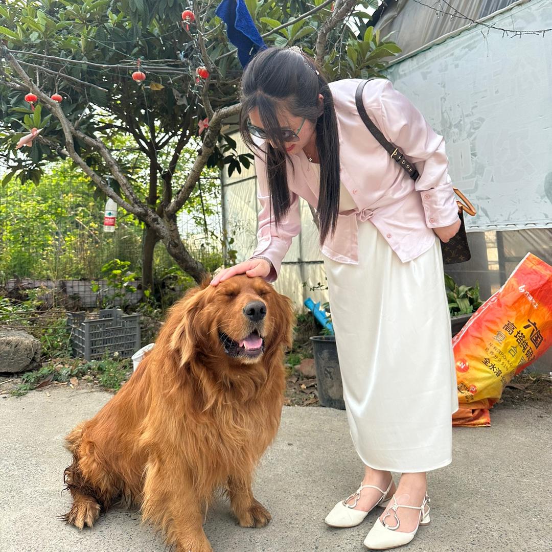快乐小狗🐶