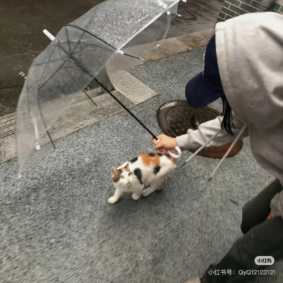 @一天吃一顿🎀