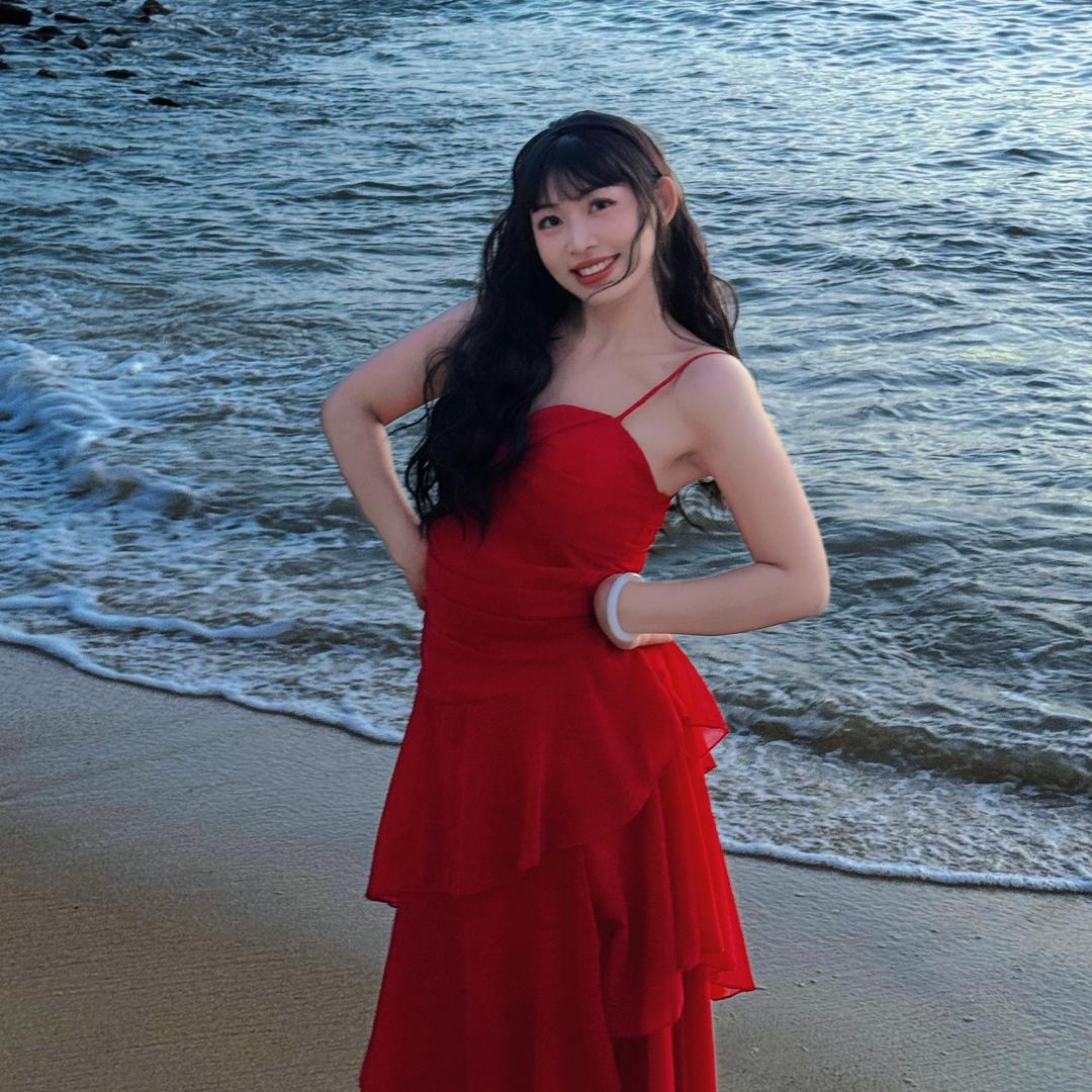 追着太阳的向日葵🌻